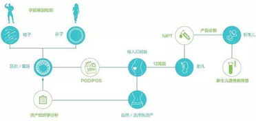 高特佳投資輔助生殖基因檢測龍頭嘉寶仁和,加速細分領域布局